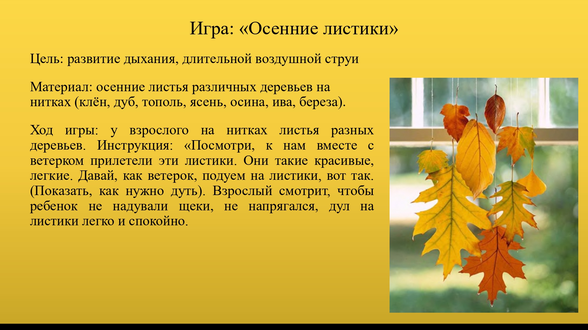 Государственное бюджетное дошкольное образовательное учреждение детский сад  № 103 Невского района Санкт-Петербурга - ИГРЫ ДЛЯ ДЕТЕЙ РАННЕГО ВОЗРАСТА НА  ТЕМУ 