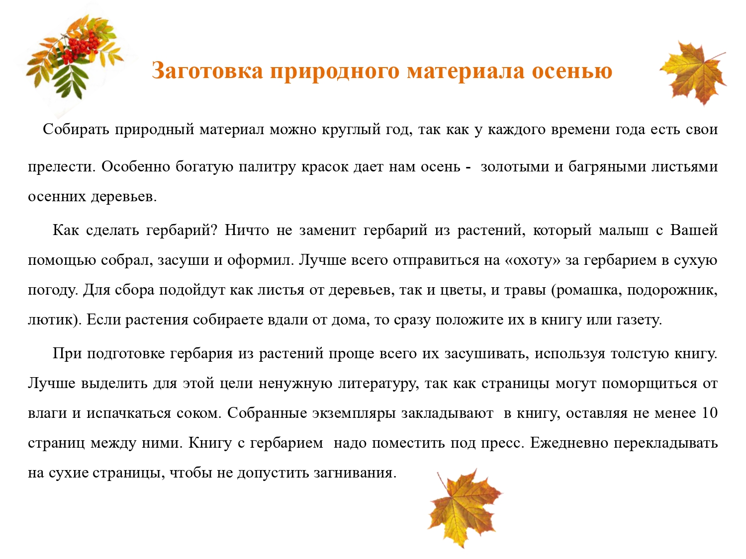 ПаІвжп_ОСЕНЬ_page-0003.jpg